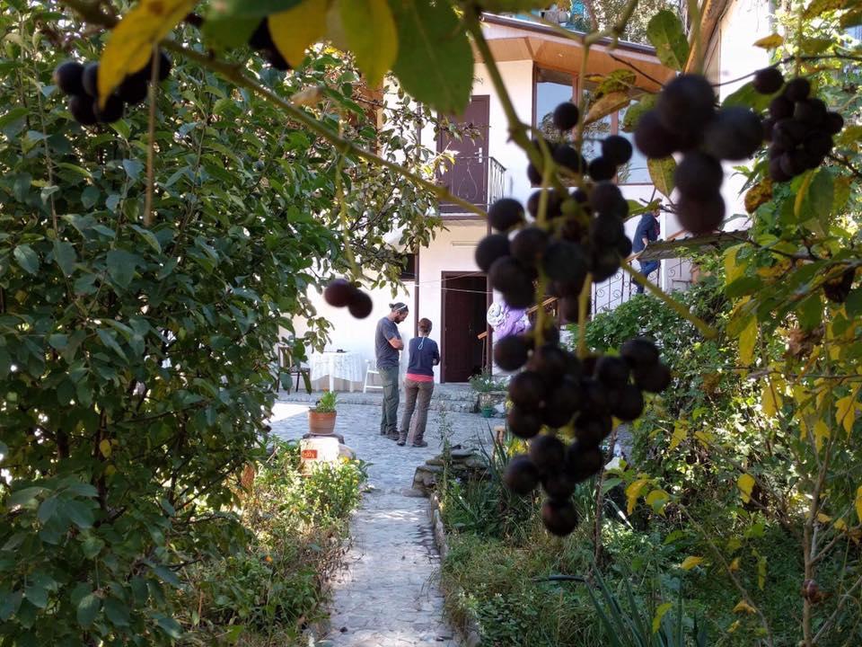 דיליג'אן Nina B&B מראה חיצוני תמונה